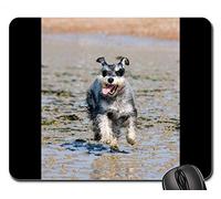 YENDOSTEEN Tappetini per Il Mouse - Schnauzer Miniature Schnauzer Dog Running Happy