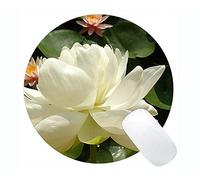 YENDOSTEEN Tappetino per Il Mouse Round di Gioco Lotus Flowers Serenity - Tappetini per Mouse Rotondi Lotus