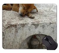 YENDOSTEEN Tappetino per Mouse con Bordo di Blocco, Tappetino per Mouse in Gomma Buono e malvagio