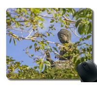 YENDOSTEEN Tappetino per Mouse da Gioco, Tipo di Cuore, tappetini per Mouse con Statue di Buddha