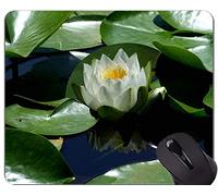 YENDOSTEEN Tappetino per Mouse di Gioco Lotus Flowers Serenity - Tappetino per Mouse in Gomma