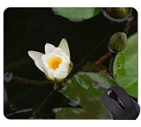 YENDOSTEEN Tappetino per Mouse Floreale Zen Lotus Flower Personalizzato - Tappetino per Mouse con Base in Gomma Antiscivolo