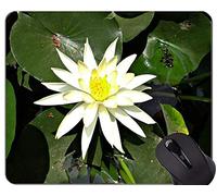 YENDOSTEEN Tappetino per Mouse Lotus Rosa con Bordo di Chiusura - Tappetino per Mouse da Ufficio Lily Water
