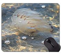 YENDOSTEEN Tappetino per Mouse per mappe, Illustrazione della Bussola con tappetini per Mouse per Le Meduse della Bussola