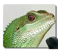 YENDOSTEEN Tappetino per Mouse Personalizzato, Mouse Pad di Dragon Chinese Water Dragon Office