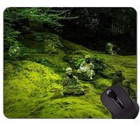 YENDOSTEEN Tappetino per Mouse Personalizzato Serie Leopard Originale, Pad del Mouse per Statua del Buddha in Giappone con Bordo Cucito