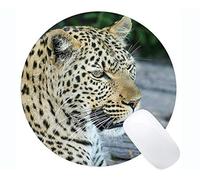 YENDOSTEEN Tappetino per Mouse Rotondo con Bordo di Sicurezza, Tappetino per Mouse con Base in Gomma Antiscivolo Leopard Wild Leopard
