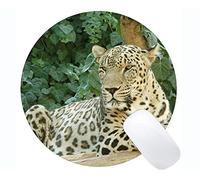 YENDOSTEEN Tappetino per Mouse Rotondo con paracolpi, Pad per Mouse Leopard Cat Family Leopard Round