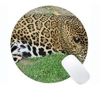 YENDOSTEEN Tappetino per Mouse Rotondo Serie Custom Leopard Originale, Tappetino per Mouse Rotondo Leopard Cat Family Jaguar