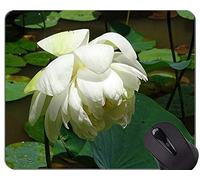 YENDOSTEEN Tappetino per mouse Serenity Lotus Flowers personalizzato - Tappetino mouse in gomma antiscivolo Lotus