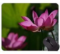 YENDOSTEEN Tappetino per mouse Serenity Lotus Flowers personalizzato - Tappetino per mouse con base in gomma antiscivolo