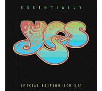 YES - ESSENTIALLY YES