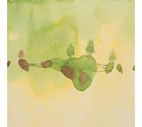 Yes – Live at Knoxville Civic Auditorium – Vinile 3LP