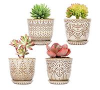 YFFSRJDJ Set di 4 piccoli vasi da fiori in ceramica con fori di drenaggio e piattini per piante grasse, 10 cm, colore: bianco crema