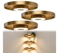 Yfjyxen Floating Wall Shelf with Built-in Ambient LED Light, Illuminated Corner Shelves 3 Color Lights, Metal Plant Shelf Space Saving Invisible Brackets Hanging Display Rack for Entryway Dining