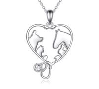YFN Medicina veterinaria, collana in argento Sterling con ciondolo per assistente veterinario, stetoscopio, gioielli da donna