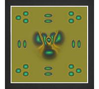 YGBWAOV 1 Pezzo di Pellicola per la Visualizzazione del Campo Magnetico 4 X 4 Pollici per L'Insegnamento di Progetti Scientifici