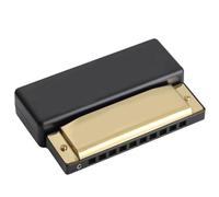 YGBWAOV 10 Fori Blues Harmonica C Key Studenti Bambini Early Education Puzzle Strumento Musicale Giocattolo Educativo