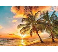 ygghj Punto Croce Prestampato Kit da Ricamare Spiaggia 40X50Cm Ricamo Kit Punto Croce Arte Adatto A Principianti per La Decorazione Domestica Tela Prestampata 11Ct