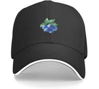 YGHAOWKJR Berretto da baseball classico The Blues Painting Cappello per bambini Nero Snap Back Cappello di Lusso Cappello Elegante Donna Cappelli Uomo