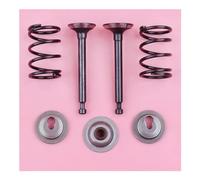 YGPWANGL Kit Set di guarnizioni for Stelo con Fermo a Molla Adatto for Parte del Motore del decespugliatore Honda GX25 HHT25S GX 25