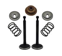 YGPWANGL Kit Set di guarnizioni for Stelo con Fermo a Molla Adatto for Parte del Motore del decespugliatore Honda GX25 HHT25S GX 25