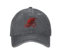 YHCIREB Cappellino da Baseball Dragon Age Origins: Blood Dragon V1, Escursionismo, Sole, Sole, Donna, Uomo, Cappello