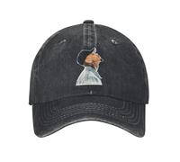 YHCIREB Cappellino da Baseball Rapper Chris Brown Breezy Bowl XX Tour Washed Street Style Sole Estate Unisex-Adolescenti Corsa Hippie Cappello