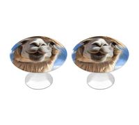 YHEGBFD Manopole rotonde,Pomelli divertenti per comò con stampa alpaca lama,Maniglia per cassetti,Manopole decorative,Pomelli per armadi con viti