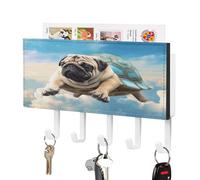 YHEGBFD Portachiavi da parete, con divertente motivo tartaruga, carlino, portachiavi da parete, organizer per posta con ganci, portachiavi a parete e porta posta