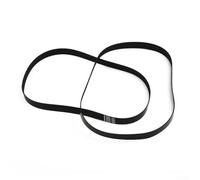 Yhenlovtt Cinghia di trasmissione di ricambio 440005536 per pulitore per tappeti Dual Power Max FH51000 FH5100RM FH5100NC, confezione da 2, cinghia di trasmissione a rullo in gomma di alta qualità