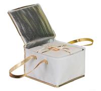Yhenlovtt Grande borsa termica per torte fresche e pizza, con controllo della temperatura, 40 x 40 x 23 cm, in tessuto non tessuto, per feste, picnic fuori Plus, colore bianco