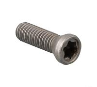 Yhenlovtt Set di 10 viti in metallo duro M2,5 e .5 per viti Torx, elementi di fissaggio in acciaio con testa a bussola per sostituire inserti in metallo duro (0,5 x 12 mm)