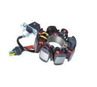 YhFiaS Bobina statore Magnete Moto 5 Fili 8 Poli for CG125 ZJ125 125cc Pezzi di Ricambio for generatore(Average Hole)