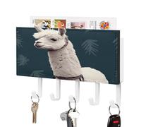 YHNNH Ganci per chiavi da parete, in alpaca in plastica, decorativi, con 5 ganci per chiavi, per ingresso, soggiorno, ufficio