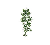 YHNNH Home Wall Decoration Encryption Simulation Eucalyptus Pendant(Bg hll a07258)
