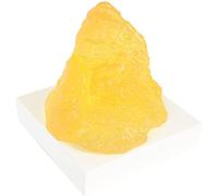 YHNNH, Modello anatomico del grasso a grandezza naturale - for nutrizionista, corso di scienze anatomiche for studenti di medicina, 1,1 libbre con base espositiva