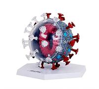 YHNNH, Modello di coronavirus giocattolo assemblato puzzle 4D - Modelli didattici anatomici - Utilizzato for l'esposizione didattica fai-da-te Esposizione del Museo della scienza
