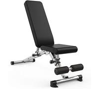 YHNNH Panca Pesi, Sedia da Fitness Professionale con manubri, Delicata, in Acciaio, Pieghevole, Regolabile, inclinabile e declinabile, Multifunzionale
