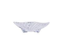YHNNH, Piatto piano Piatto snack trasparente Contenitore for frutta secca for feste, cene, Natale, cesto di frutta for matrimoni for piatti da cucina