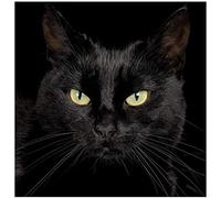 YHX926 Kit Punto Croce,11 ct Counted,Misterioso gatto nero,Principianti Timbrato Kit Punto Croce Prestampato,DIY Kit Ricamo Punto Croce Natale Decorazioni per la casa-40 * 50cm