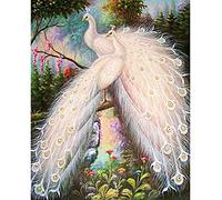 YHX926 Kit Punto Croce,11 ct Counted,Pavone Bianco,Principianti Timbrato Kit Punto Croce Prestampato,DIY Kit Ricamo Punto Croce Natale Decorazioni per la casa-40 * 50cm