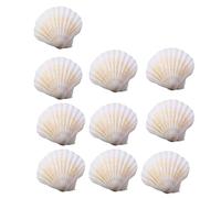 YIGZYCN Bulk - 10 conchiglie di capesante naturali per progetti di artigianato eleganti e prodotti da forno, accessori portatili per gioielli da forno