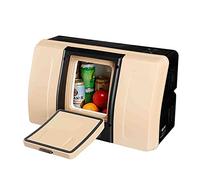 YIHANSS Mini frigorifero da 18 litri compatto portatile, frigorifero congelatore per la cura della pelle, alimenti, medicinali, casa e viaggi, design per sedili posteriori