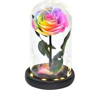 YIHANSS Rosa in Cupola di Vetro Rosa eterna LED Fiori conservati di Notte Regalo per la Decorazione Donne Moglie Fidanzata Compleanno (Colore : Rosso) (Blu) Rosa eterna (Multicolore)