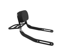 YIJIAVSX Portapacchi Posteriore Moto per Kawasaki per Eliminator SE 500 450 E500 E450 2023-2025 Moto Staccabile Schienale Posteriore Sedile Passeggero Portabagagli Portapacchi Posteriore