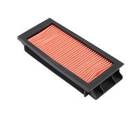 YIJIEBAO Filtri aria e olio for motociclette scooter 150cc adatti for elemento di pulizia dell'aspirazione del motore ZONTES ZT150D ZT150M 150D 150M Accessori(1pcs Air filter)