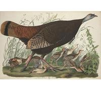 YIMACBJXX Dipinti Famosi Murale Tela Painting Image Gran gallina y jóvenes por el famoso pintor per la Decorazione Domestica dell'ufficio 60x90cm