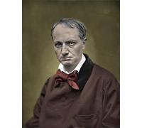 YIMACBJXX Dipinti Famosi Murale Tela Painting Image Retrato de Charles Baudelaire Nd por Etienne Carjat per la Decorazione Domestica dell'ufficio 60x90cm