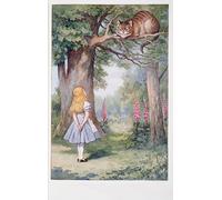 YIMACBJXX Dipinti Famosi Parete Immagine Arte Dipinto Alicia y el gato de Cheshire Las aventuras de Alicia en A través del espejo de John Tenniel per L'arredamento del Soggiorno 60x90cm